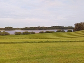 grassmaat.jpg